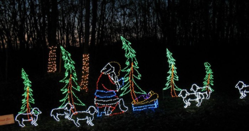 Colorful holiday lights depict Santa with a sleigh and dogs among trees in a dark forest setting.