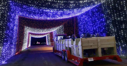 A festive light tunnel with colorful lights, as a trailer filled with people passes through.