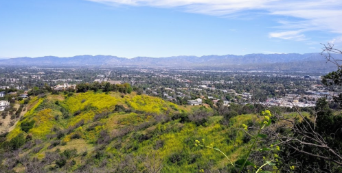 A panoramic view of a green hillside overlooking a city and distant mountains under a clear blue sky.