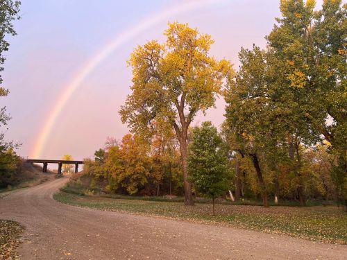 A scenic view of a dirt road lined with autumn trees, with a rainbow arching over a bridge in the background.