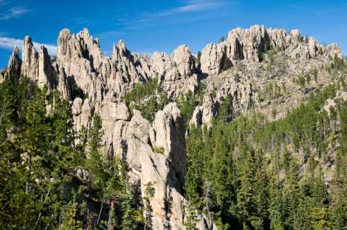 Rocky mountain landscape with jagged peaks and dense green forests under a clear blue sky.