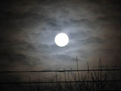 A bright full moon shines through a cloudy night sky, with silhouetted branches in the foreground.