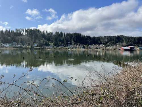 A serene lake surrounded by trees and houses, with reflections on the water and a cloudy blue sky above.