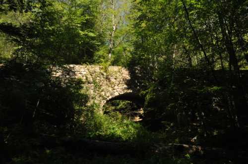 A stone bridge arches over a lush, green forest, surrounded by trees and dappled sunlight.