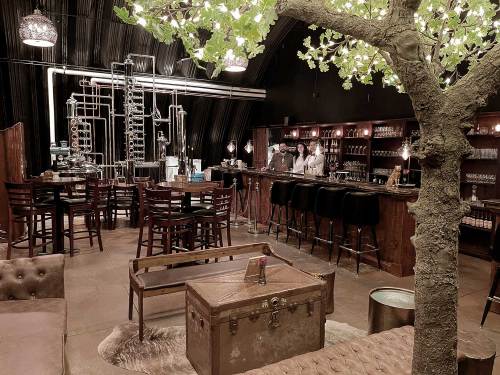 A stylish bar with wooden furniture, a tree, and distillation equipment in a cozy, industrial setting.