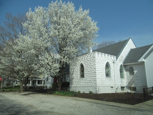 A white stone church with arched windows beside a large flowering tree against a clear blue sky.