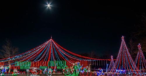 Colorful holiday lights illuminate a night scene with trees and a festive canopy under a bright moon.