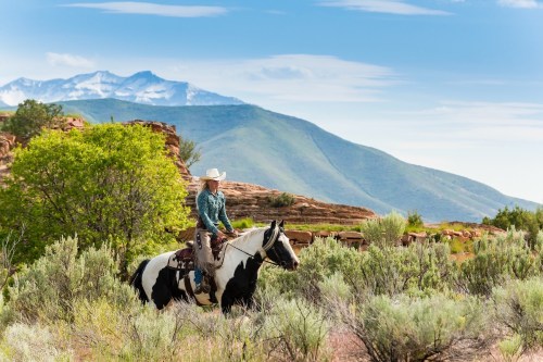 A cowboy on a black and white horse rides through a scenic landscape with mountains and greenery in the background.