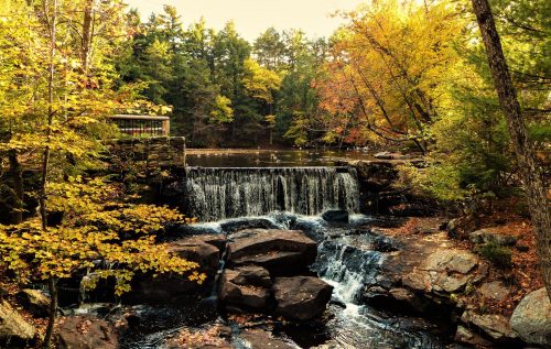 A serene waterfall cascades over rocks, surrounded by vibrant autumn foliage and a calm pond.