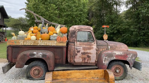 A vintage truck filled with colorful pumpkins and gourds, parked on a gravel path surrounded by greenery.