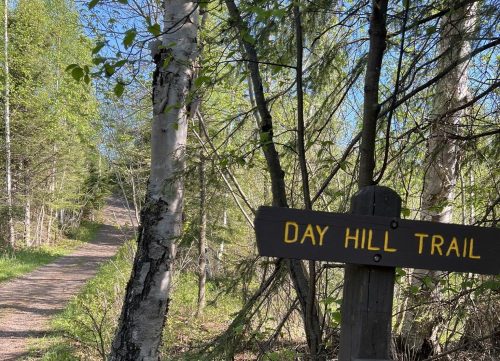 A wooden sign for "Day Hill Trail" beside a winding path through a lush, green forest.