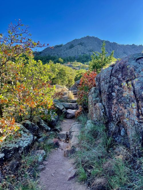 A rocky path winds through vibrant foliage, leading towards a mountain under a clear blue sky.