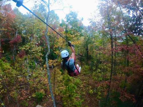 A person zip-lining through a vibrant autumn forest filled with colorful leaves.