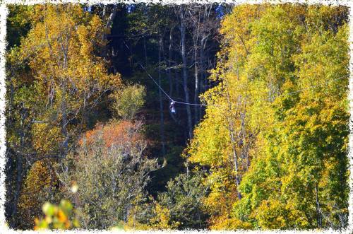 A person zip-lining through vibrant autumn trees with colorful foliage in a forested area.