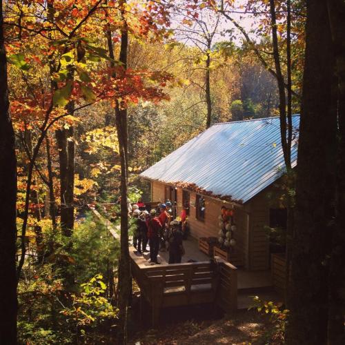 A cozy cabin surrounded by colorful autumn trees, with a group of people gathered on the deck.