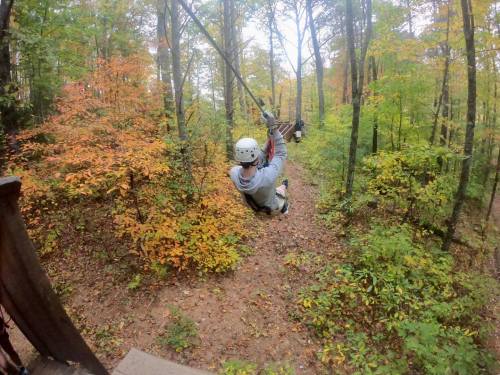 A person in a helmet zip-lining through a colorful forest with autumn leaves.