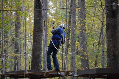 A person in a harness navigates a ropes course among trees in a forested area.