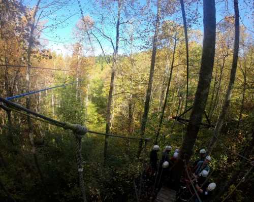 A group of people in helmets stands on a platform among tall trees, surrounded by vibrant autumn foliage.