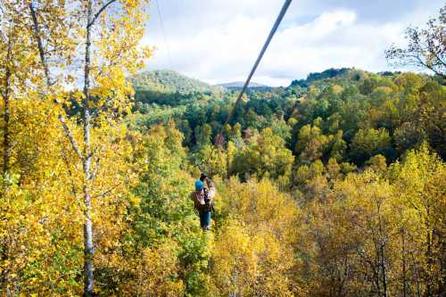 A person zip-lining through a vibrant autumn forest filled with colorful trees and a scenic mountain backdrop.