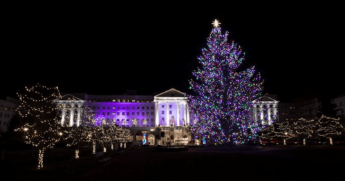 A beautifully lit Christmas tree surrounded by festive lights at night, with a grand building in the background.