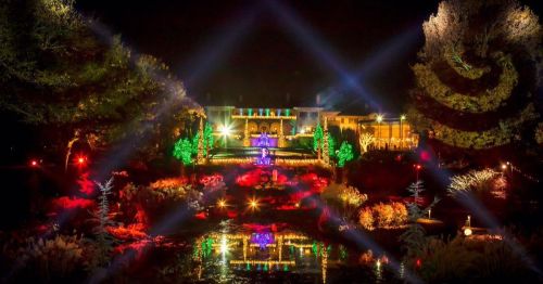 A beautifully lit garden at night, featuring colorful lights reflecting on a pond and a grand building in the background.