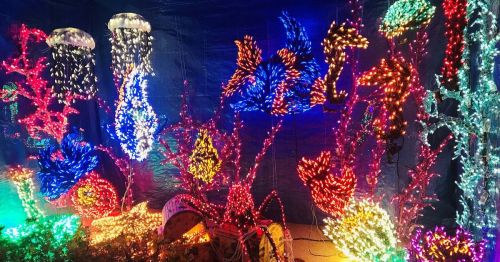 Colorful holiday lights shaped like underwater scenes, featuring jellyfish, fish, and coral against a blue backdrop.