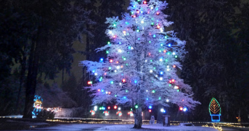 A brightly lit Christmas tree covered in snow, surrounded by festive decorations in a winter landscape.