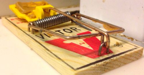 A close-up of a wooden mouse trap with a yellow bait holder and metal spring mechanism.