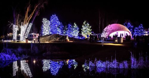 A festive scene at night with colorful lights on trees, a glowing dome, and reflections in a calm water surface.