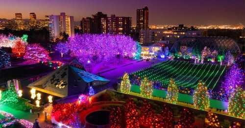 A vibrant garden illuminated with colorful lights at night, surrounded by city buildings and a glowing skyline.