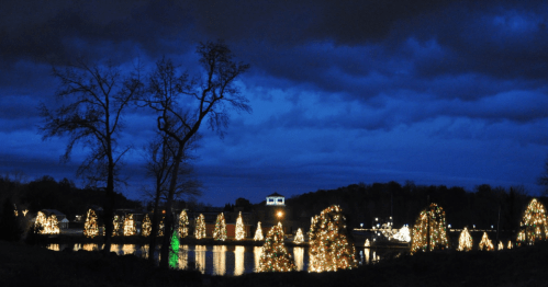 A serene night scene with illuminated Christmas trees reflected in a calm lake under a cloudy blue sky.