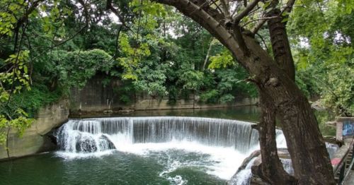 A serene waterfall cascading into a calm green pool, surrounded by lush trees and natural scenery.