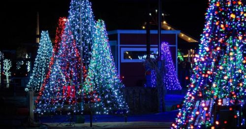 Colorful illuminated trees and decorations create a festive atmosphere at night.
