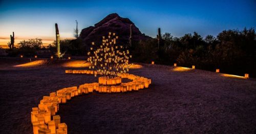 A desert landscape at dusk, featuring glowing lanterns winding along a path and a lit tree centerpiece against a mountain backdrop.