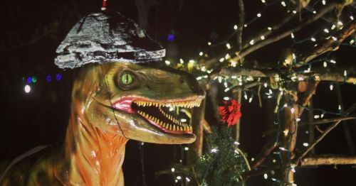 A dinosaur statue wearing a hat, surrounded by festive lights and a small Christmas tree.