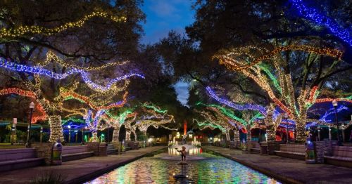 A park illuminated with colorful lights on trees, featuring a fountain and a serene water reflection at dusk.
