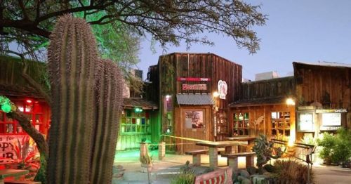 A rustic outdoor bar with wooden structures, colorful lights, and a large cactus in the foreground.