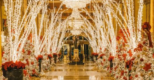 A beautifully decorated hallway with sparkling lights, red flowers, and Christmas trees, creating a festive atmosphere.