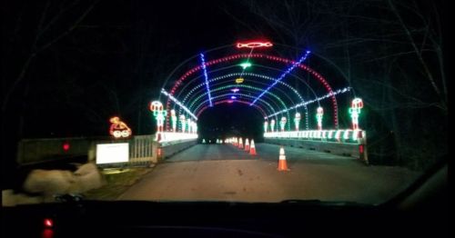 A brightly lit archway of colorful holiday lights over a road, with traffic cones marking the path at night.