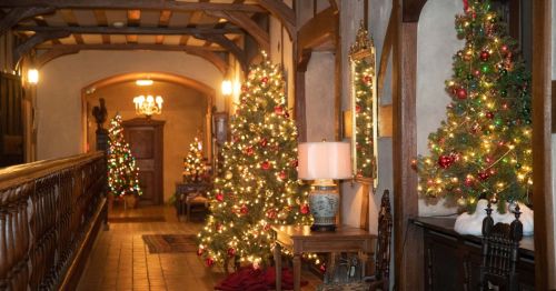 A festive hallway decorated with Christmas trees, lights, and holiday ornaments, creating a warm, inviting atmosphere.