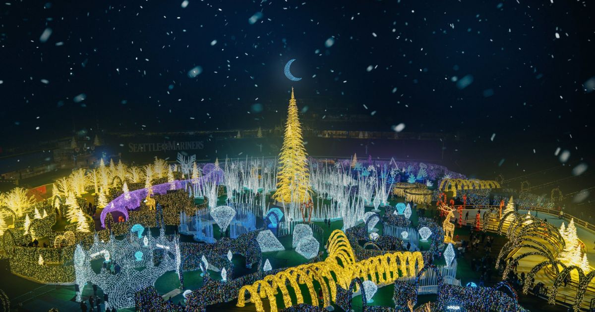 This Tropicana Field Christmas Event In Florida Is Filled With Magic