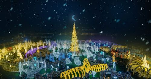 A vibrant holiday light display featuring a tall illuminated tree and colorful decorations in a snowy night setting.