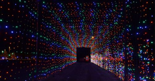 A colorful tunnel of lights with vibrant red, green, blue, and yellow lights creating a festive atmosphere.