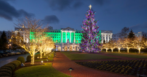 A beautifully lit Christmas tree stands in front of a grand building, surrounded by glowing lights and festive decorations.