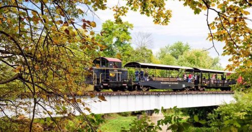 A vintage train crosses a bridge surrounded by lush greenery and autumn leaves, with passengers enjoying the ride.