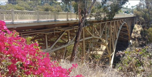 A bridge with intricate metalwork spans a canyon, surrounded by vibrant pink flowers and lush greenery.