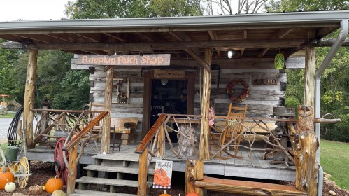 A rustic pumpkin patch shop with wooden decor, rocking chairs, and pumpkins displayed outside.