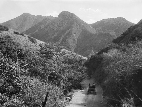 A vintage black-and-white photo of a dirt road winding through mountains, with a horse-drawn carriage in the distance.