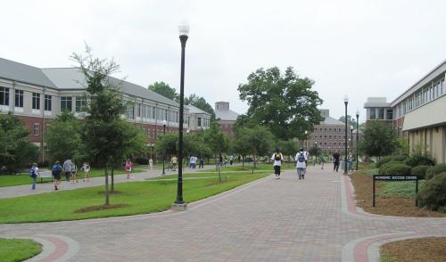 A campus pathway lined with trees, leading to buildings, with students walking and gathering on a cloudy day.