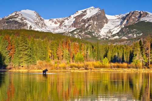 A serene lake reflects snow-capped mountains and lush forests, with a bear wading in the water under a clear blue sky.